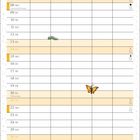 Kalenderseite für März. Illustration: ein Hase, Raupe und Schmetterling. Unten: "Die Maus spazierte im Wald umher."