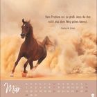Zitat: "Kein Problem ist so groß, dass du ihm nicht aus dem Weg gehen kannst." Charles M. Schulz. Pferd gallopiert im Staub.
