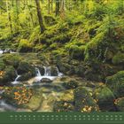 März. Ein grüner Wald mit Moos, fließendem Wasser über Steine, Herbstblätter. Ein Kalender für den Monat März.