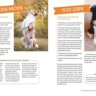 **MÄNNCHEN MACHEN:** Voraussetzungen: Dein Hund muss »Sitz« beherrschen. **PFOTE GEBEN:** Voraussetzungen: Dein Hund muss »Sitz« beherrschen.