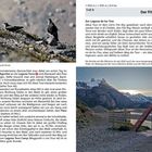 Top: „Der Fitz-Roy-Trek“; „7.45 h“; „Zur Laguna de los Tres“. Zwei Caracaras auf steinigem Boden, Berglandschaft mit Brücke.