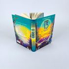 "Erde 13: Aufbruch ins Ungewisse" von Andreas Langer. Buntes Cover mit Landschaft und Figuren.