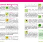 Jeden Tag Gemüse: Richtig wichtig. Beschreibungen von Gemüsearten wie Blumenkohl, Brokkoli, Linsen und deren gesundheitliche Vorteile.