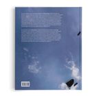 Texte: Beschreibung der künstlerischen Arbeit von Shilpa Gupta auf Deutsch und Englisch.

Himmel mit Wolken und zwei schwarzen Clips.