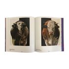 Text: "Alexandra Klimas, Art of the Unseen Bull, 2025" auf beiden Seiten. Zwei Stiergemälde, links dunkel, rechts hellbraun.