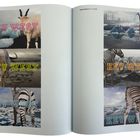 Texte "KEY WEST" sind in verschiedenen Farben wiederholt. Tiere und Eisberge in surrealen Landschaften sichtbar.