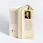 Eine Buchzusammenfassung links, rechts Info über Diane Button. Links unten sind Blumenillustrationen.