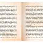 1. Dezember. Schüttel mich und sprich das Wort, auf geht’s zu einem magischen Ort! Ein Gebäude, etwas zu Essen, ein Spielzeug.