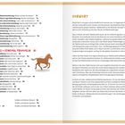 Texte links: Instrumentenspiel zur Raumorientierung..., ZWEI PLUS DREI = FÜNFMAL TROMMELN...

Texte rechts: VORWORT. Musik löst in uns ganz unterschiedliche Emotionen aus...