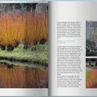 Text: "PRÄGENDE GESTALTEN IM GARTEN." Links: Sträucher mit leuchtend orangefarbener Rinde, ein Teich spiegelt die Farben. Rechts: Kleinere Bilder von winterlichen Sträuchern.