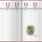 Kalenderwoche 19, 10. bis 16. Mai. Wettervorhersagen sind durch Symbole dargestellt. Text über Nistkästen. Illustration eines Vogels, "Halsbandschnäpper-Männchen".