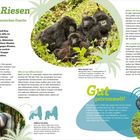 "Sanfte Riesen", "Besuch bei einer affenstarken Familie". Enthält Fotos von Gorillas in ihrem natürlichen Lebensraum.