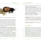 Seitenzahlen: Pfeffer 237, 238. Überschriften: "Die Gewürzporträts", "Gewürzporträt". Hervorgehoben: "Wichtig: Pfefferöl..." 

Trockene Pfefferkörner und gemahlener Pfeffer sind abgebildet.