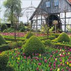 Ein Garten mit rosa und gelben Tulpen, geschnittenen Hecken, einem Metallpavillon und einem rustikalen Holzhaus im Hintergrund.
