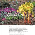 FEBRUAR, 7. Woche. Zitat von Percy Bysshe Shelley. Verschiedene Frühlingsblumen in einem Beet.