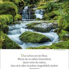 Das Leben ist ein Fluss. Wasser fließt über moosbedeckte Steine in einem grünen Wald. Kalenderdaten: 15.–21. März.