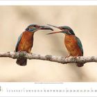 Zwei Eisvögel stehen auf einem Ast; einer gibt dem anderen einen kleinen Fisch. Darunter ein Kalendarium für März.