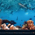 März-Kalender mit Korallenriffen, Fischen und Haien im klaren blauen Wasser.