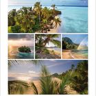 3, März; Strandszenen mit Palmen, türkisfarbenem Meer, Regenbogen und Sonnenuntergang in fünf Fotos dargestellt.