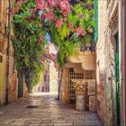 Keine Texte sichtbar. Eine malerische, enge Gasse mit blühenden Pflanzen und antiken Säulen in einer mediterranen Stadt.