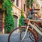 Mehrere Fahrräder mit braunen Griffen und Körben stehen in einer engen Gasse mit alten Gebäuden und grünen Ranken.