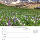 Kalenderseite für März 2027. Oben Gebirgslandschaft mit blühenden Krokussen, darunter Wochentage und Platz für Notizen.