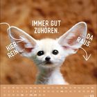 "Immer gut zuhören. Hier rein. Da raus." Ein Wüstenfuchs mit großen Ohren, umgeben von einem Kalender.