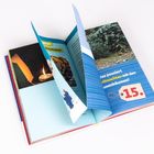 Text: "Was passiert Weihnachten mit den Tannenbäumen?" und "15.". Geöffnete Buchseiten mit Kerze und einer Illustration.
