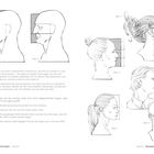 Abbildungen von Profilzeichnungen mit Texten zu Proportionen nach Da Vinci. Verschiedene Gesichtsdarstellungen.