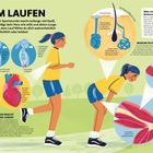 **BEIM LAUFEN**  
- Joggen macht Spaß, das Herz schlägt und die Lunge brennt.  

_Themen: Atmung, Herz, Lunge, Muskeln, Schwitzen._

- **WARUM GERÄTST DU AUSSER ATEM?**  
- **WARUM SCHLÄGT DAS HERZ SCHNELLER?**  
- **WAS MACHT DIE LUNGE?**  
- **WAS VERURSACHT SEITENSTECHEN?**  
- **WARUM SCHWITZT DU?**  
- **WORAUS BESTEHEN MUSKELN?**  
- **WAS ERMÜDET DIE MUSKELN?**

Eine Illustration zeigt eine Person beim Joggen in verschiedenen Momenten.