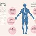 "Die Kraft der Atmung" ist der Titel. Ein blauer Umriss eines Menschen mit Text in rosa Kreisen zeigt Atemvorteile.