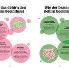 Links: "Wie das Gehirn den Darm beeinflusst", rechts: "Wie der Darm das Gehirn beeinflusst". Kreise mit Texten.