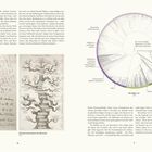 Links: „Darwins Notizbuch 1837“, „Haeckels Stammbaum des Menschen 1879“, Einleitung Seite 6. Rechts: „Hinchliff et al. 2015“.