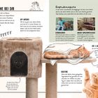 Die 1. Woche bei dir: Tipps zur Eingewöhnung der Katze. Themen: Anfang, Kennenlernen, Routine, erste Nacht. Illustrationen von Katzen.