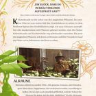 „KRÄUTERKUNDE“, Zitat von Harry Potter. Text über Alraunen und Kräuterkunde. Bild von Professor Sprout im Gewächshaus.