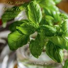 Zitat: „Die Küche ist eine kleine Welt, deren Sonne der Kochtopf ist.“ Victor-Marie Hugo. Grünes Basilikum mit Wassertropfen.