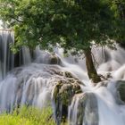 Kalenderseite mit Datum März unten. Oben dichter Wald, Wasserfall und ein großer Baum im Zentrum.