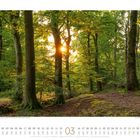03, Kalenderblatt für März mit Tagen und Wochentagen. Waldlandschaft, Bäume und Sonnenlicht.