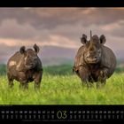 03, Spitzmaulnashörner im Grünen, Kalender Monat März, Wochentage und Daten, zwei Nashörner, bewölkter Himmel.