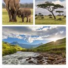 Text: "06 Mi Heilige Drei Könige", "01. Woche 2027 Januar". Ein Elefant mit Kalb, Baum in Savanne, Fluss in grüner Landschaft.