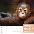 Text: "Ich bin so müde, ich könnte ein ganzes Doppelbett alleine vollschlafen." Darunter Kalender: 4.-10. Januar 2027. Darin ein Orang-Utan.