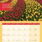 Zitat: "Wenn du es dir vorstellen kannst, kannst du es auch tun." Walt Disney. Tulpenfeld mit Windmühle, Kalender März 2027.