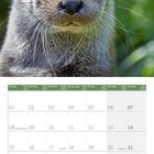 Kalenderblatt März 2027, Foto eines Otters im Hintergrund. Feiertage: St. Patrick's Day (17.), Frühlingsanfang (20.).