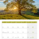 Kalenderblatt für März 2027. Oben ein großer Baum im Sonnenlicht auf einer grünen Wiese mit blauem Himmel.