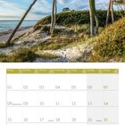 Kalender für März 2027. Oben am Strand stehende, windgeformte Bäume unter wolkigem Himmel.