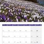 Kalenderseite: März 2027. Oberhalb eine Landschaft mit violetten und weißen Krokussen vor schneebedeckten Bergen und Bäumen.