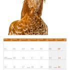 Kalenderblatt für März 2027 mit polnischem Zwerghuhn darüber.