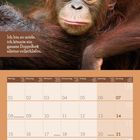 Text: "Ich bin so müde, ich könnte ein ganzes Doppelbett alleine vollschlafen."

Kalender für März 2027. Bild: Junger Orang-Utan.