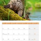 Kalendermonat März 2027. Ein Fuchswelpe sitzt auf moosigem Boden vor unscharfem Hintergrund.