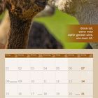 "Glück ist, wenn man dafür geliebt wird, wie man ist." Zwei Alpakas schnuppern sich an. Darunter ein Kalender für März 2027.